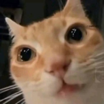 Jayson manuel Otero Reyes