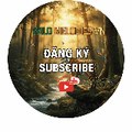 Wild Melodies VN