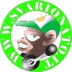 www.svarionato.it