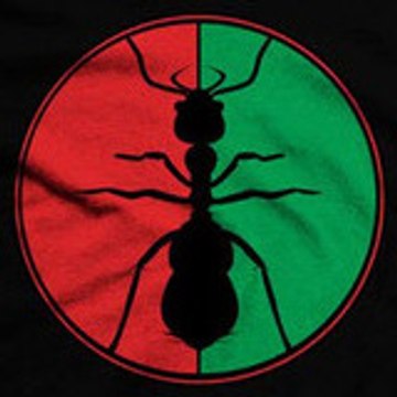 RBG Street Scholar