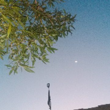 Kashi.fanns