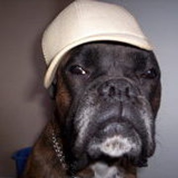 weshweshdogg