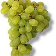 Die-Rebe Online Shop