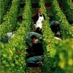 franzosischeweine