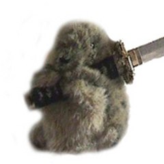 pelutche