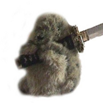 pelutche