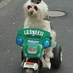 ricolilou