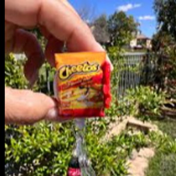 ReelSnack