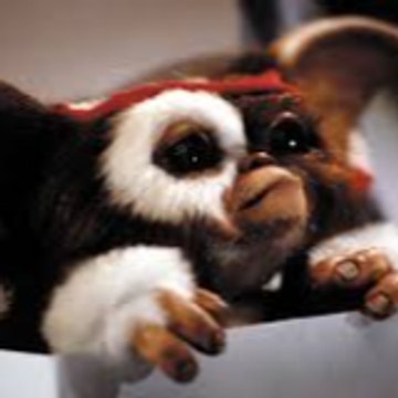 FilmGremlin
