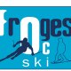 focglisse