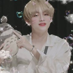 BTS Lover
