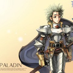 9Paladin3