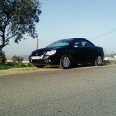 ddlb