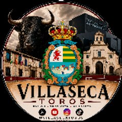 Villaseca_Toros