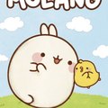 Molang