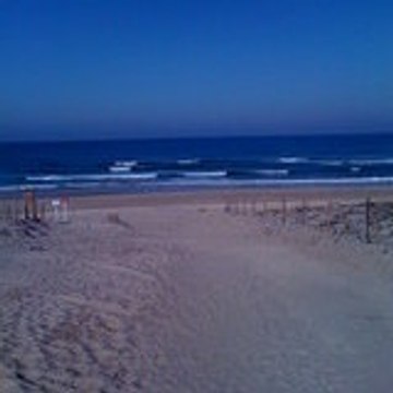 surfbmx