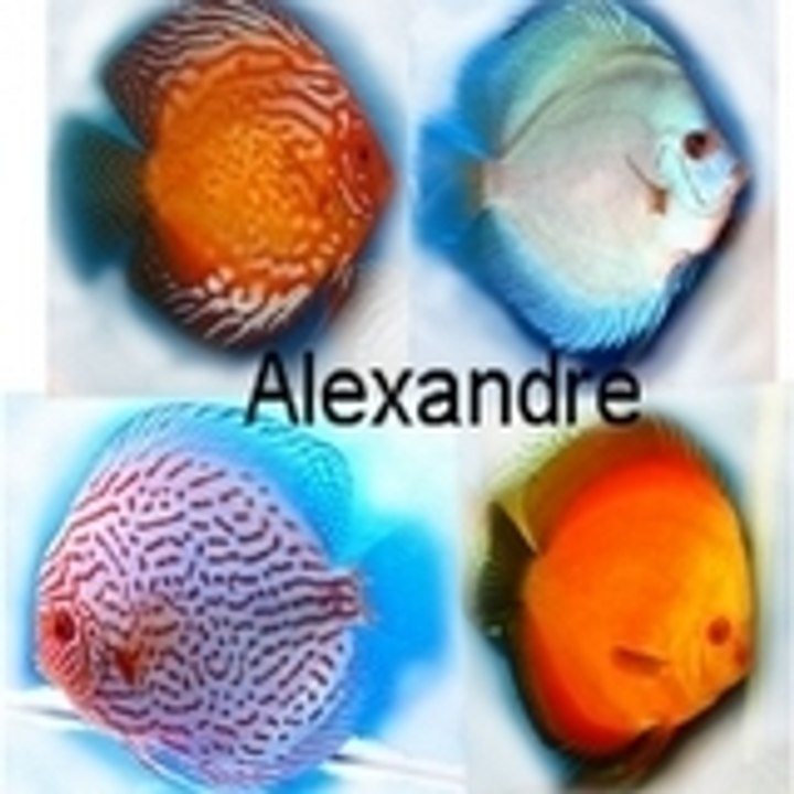 Dailymotion profile picture for @alexandre