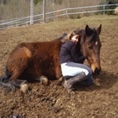 morgane