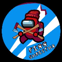 Finn Animation