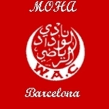 alber7405