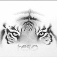 ReSo2007