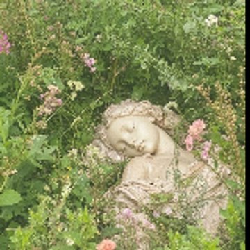 angelicsyndrom