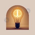 Curious Mind Discoveries