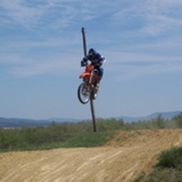 roms813
