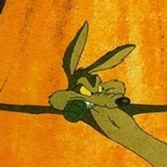 last_coyote