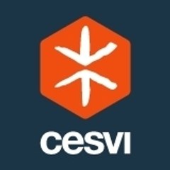 Cesvi