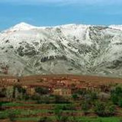 abdellah