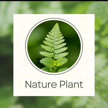 Nature Plant