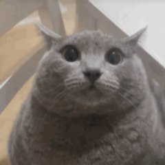 CoolRagdollGuy