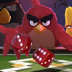 Bird_Pro101