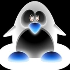 pinguoindelanuit