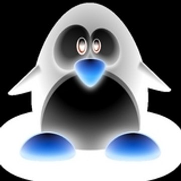 pinguoindelanuit
