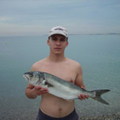 stephane