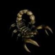 Ecailles et salamandres