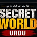 Secret World Urdu