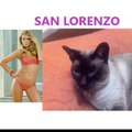 dnSanLorenzo
