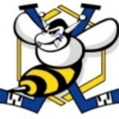HCC96