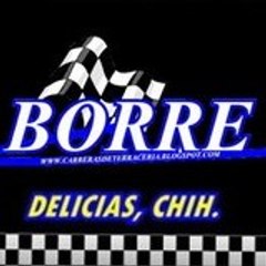 borrego8