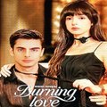 Burning Love 〔 ShortWave 〕