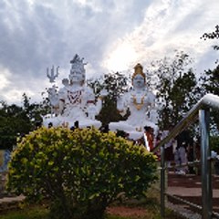 p Vinay