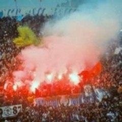 zope95