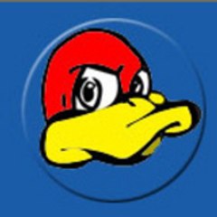 le_canard_vexe
