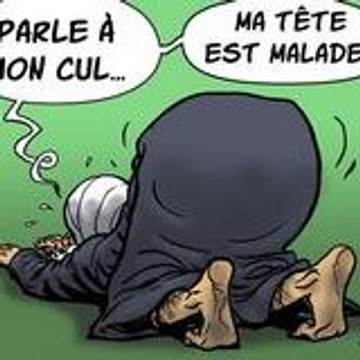 nicolas013