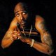 thug52