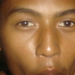 ricofill