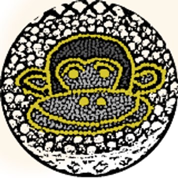 Saladolandia